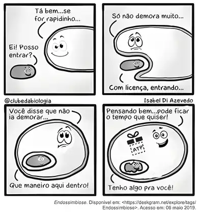 Imagem da questão 8 sobre Invaginação das membranas